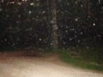 Moonville Tunnel dust orbs